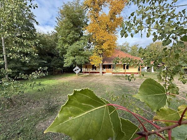 Eladó ház Lajosmizse