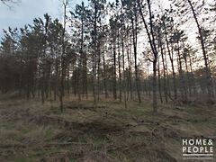 Eladó földterület Kistelek