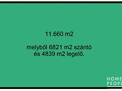 Eladó földterület Bordány