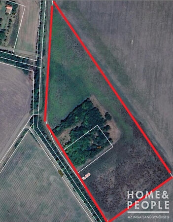 Eladó földterület Mártély