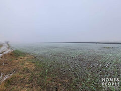 Eladó földterület Röszke