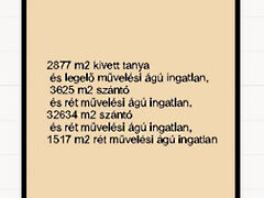 Eladó földterület Balástya