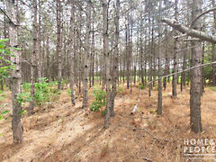 Eladó földterület Pusztamérges