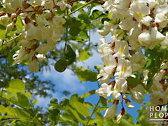 Eladó földterület Ruzsa