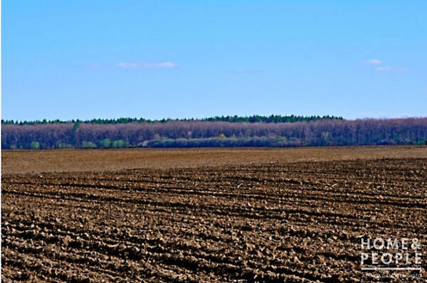 Eladó földterület Üllés