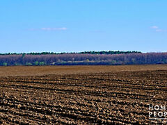 Eladó földterület Üllés