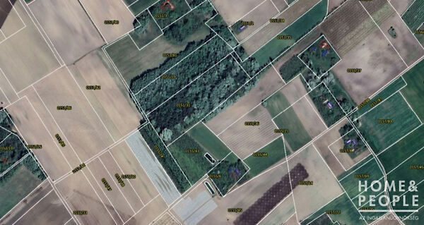 Eladó földterület Zákányszék