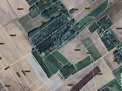 Eladó földterület Zákányszék