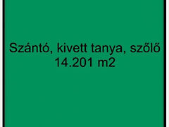 Eladó földterület Balástya