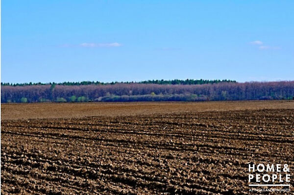 Eladó földterület Tiszasziget