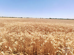 Eladó földterület Makó