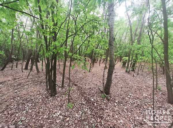 Eladó földterület Pusztamérges