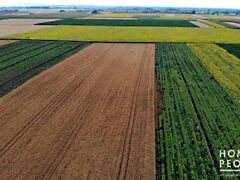 Eladó földterület Röszke