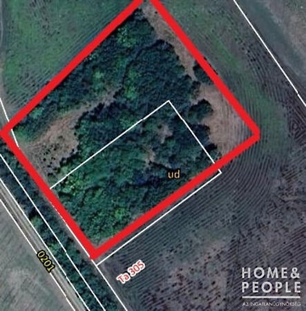 Eladó földterület Mártély