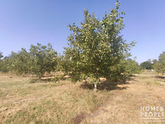 Eladó földterület Balástya