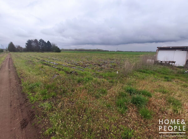 Eladó földterület Zsombó