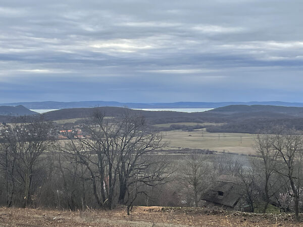 Eladó földterület Balatonszőlős