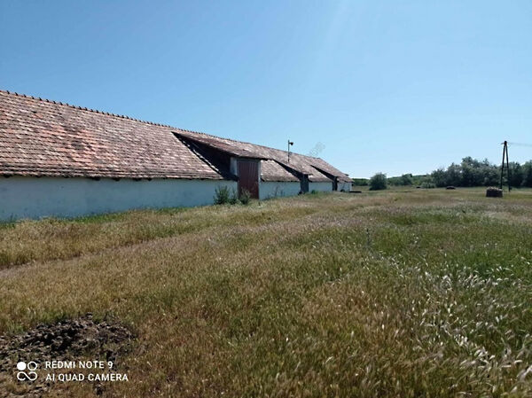 Kiadó földterület Szentes