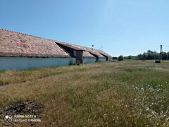 Kiadó földterület Szentes