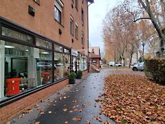 Kiadó üzleti Székesfehérvár