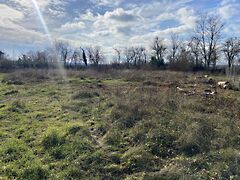 Eladó földterület Papkeszi