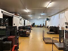 Eladó földterület Siófok