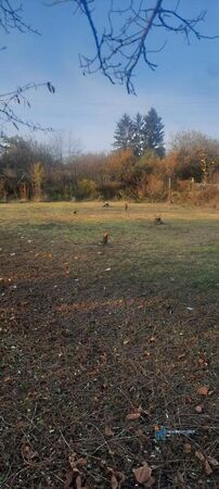 Eladó földterület Érd