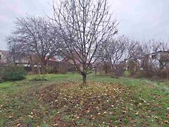 Eladó földterület Igal