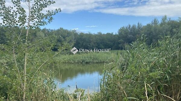 Eladó földterület Vitnyéd