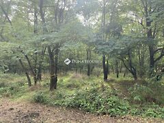 Eladó földterület Vitnyéd