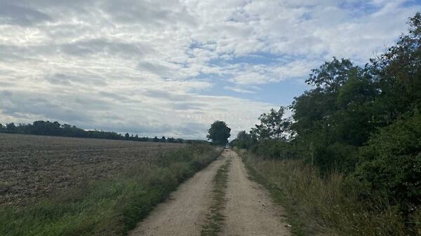 Eladó földterület Vitnyéd