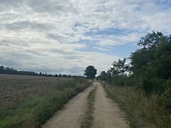 Eladó földterület Vitnyéd