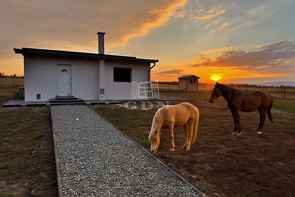Eladó ház Váchartyán