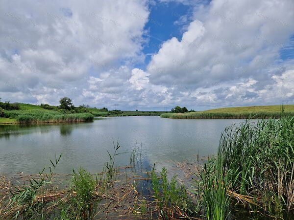 Eladó földterület Lajoskomárom