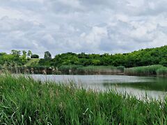 Eladó földterület Lajoskomárom