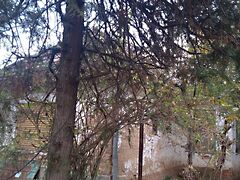 Eladó ház Nagyberény