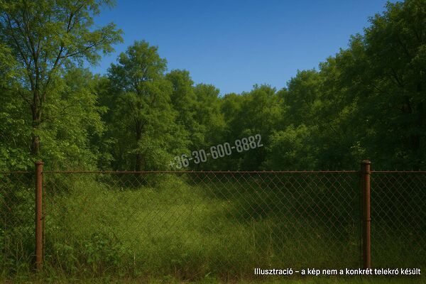 Eladó földterület Nagyszokoly