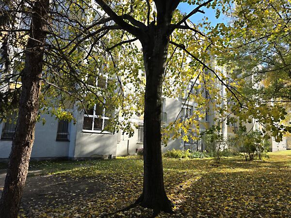 Eladó lakás Nagykanizsa