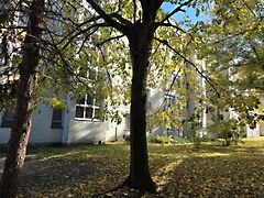 Eladó lakás Nagykanizsa