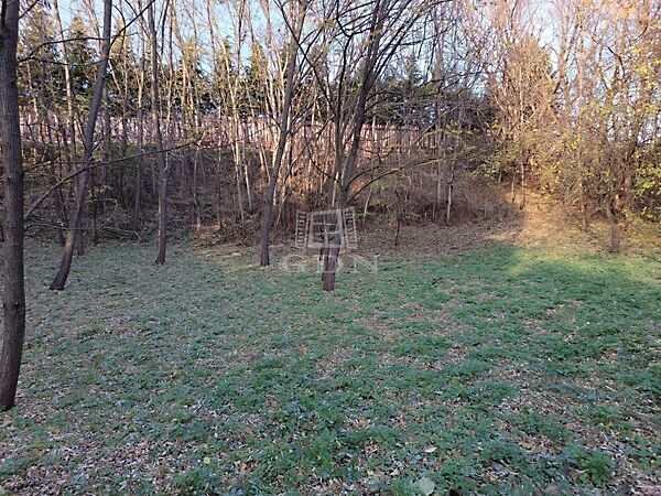 Eladó földterület Veresegyház