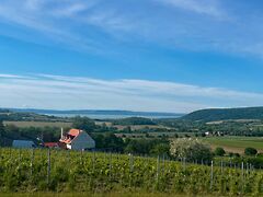 Eladó földterület Szentjakabfa