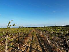 Eladó földterület Zánka