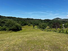 Eladó földterület Zánka