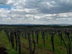 Eladó földterület Szentantalfa