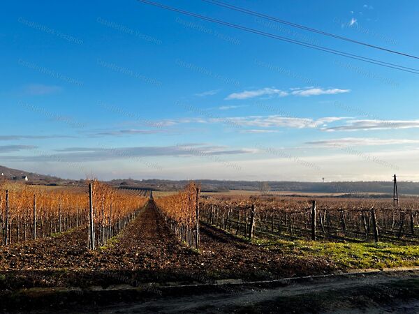 Eladó földterület Szentantalfa