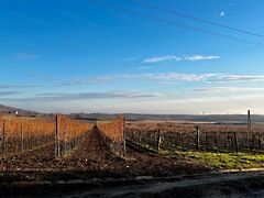 Eladó földterület Szentantalfa