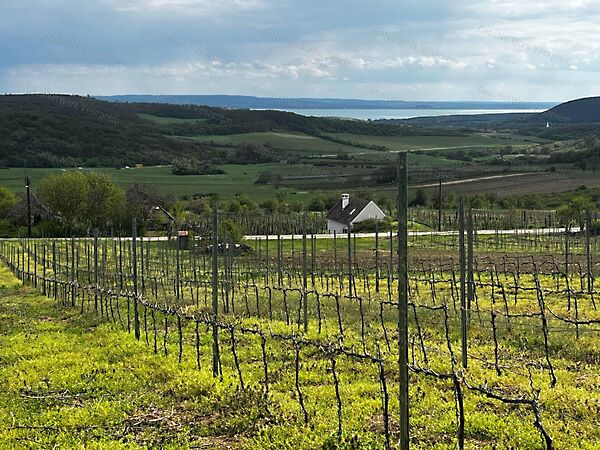 Eladó földterület Óbudavár