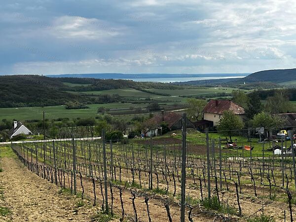 Eladó földterület Óbudavár