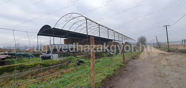 Eladó ipari Lébény