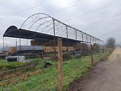 Eladó ipari Lébény